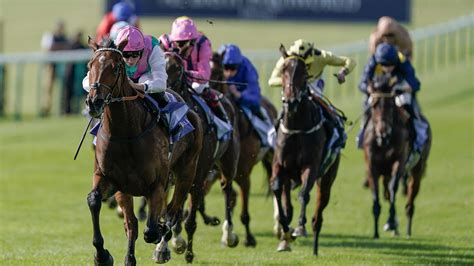 prince of wales stakes odds|2024 Prince Of Wales's Stakes Tips .